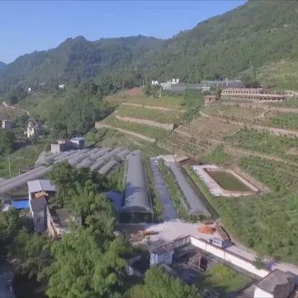 重庆劳务资质改革后合规经营指南，替代方案解析