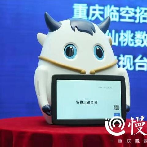 重庆资质申报代理委托书公证流程详解，异地企业指南