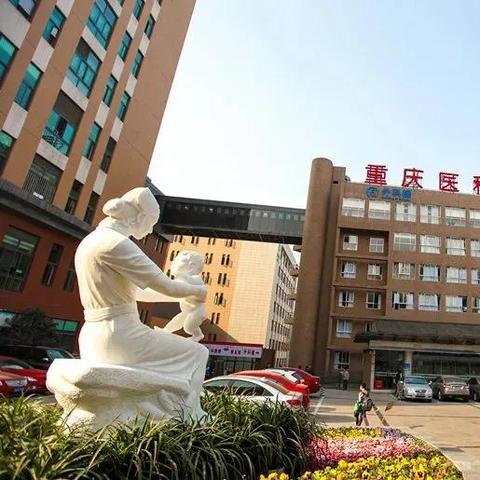 重庆公路三级资质代办解析，工程总承包与设备租赁解决方案