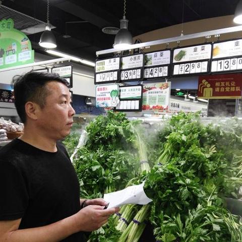信阳菜价最新动态，蔬菜价格走势分析与今日行情。