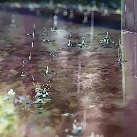 下雨天励志语录与文案编辑学习心得分享