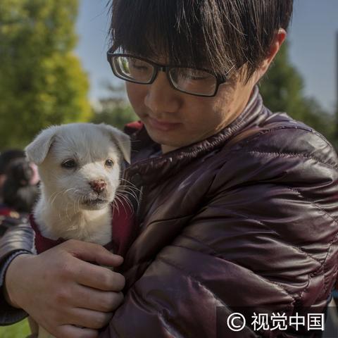 芜湖27中校园新闻速递，动态更新与亮点聚焦