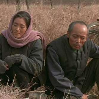 平静人生的智慧源泉，励志语录与数据力量。