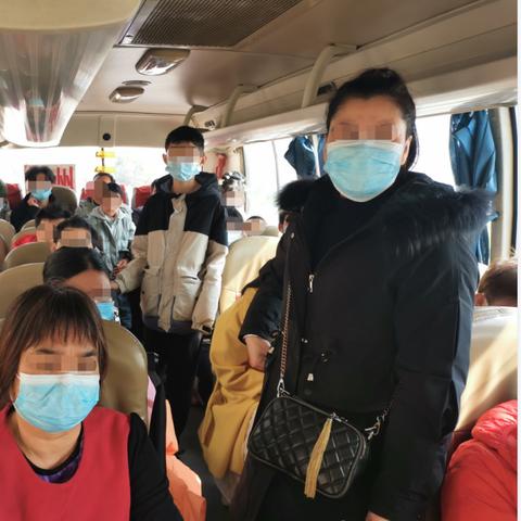 揭秘成功背后的数据秘密，今日锦囊最新视频下载解析