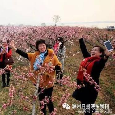滁州大墅村振兴显著，创新引领发展，新闻头条聚焦乡村振兴。