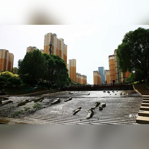 海湖新区最新动态深度解析