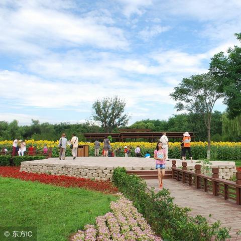 郑州公园最新动态报道