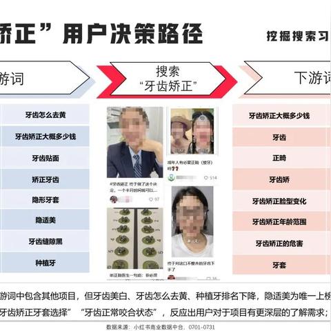大数据揭秘小红书最新动态，今日消息视频全解析！