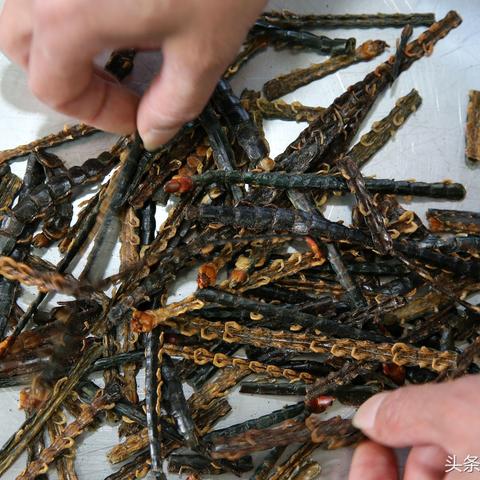安许证特种工证过期案例解析，重庆企业跨省复审纪实