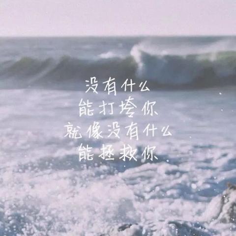 美好励志语录，见证成长的力量与数据轨迹