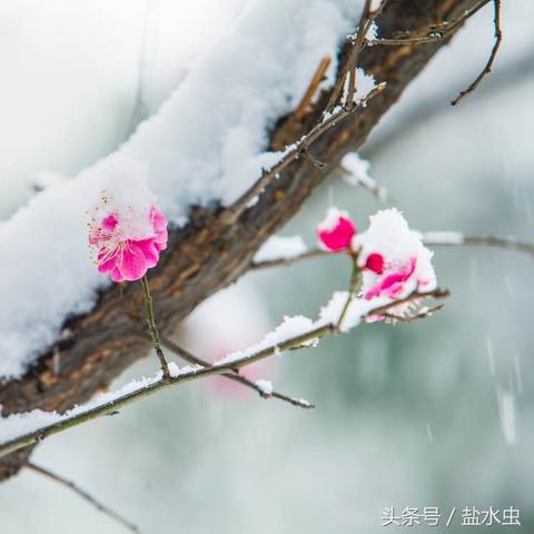 山西天空美景探索，最新图片揭秘