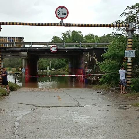 惠阳暴雨超警戒线，紧急应对启动，最新报道及视频