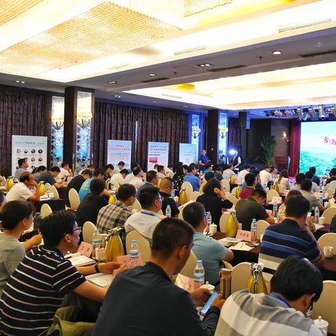 重庆博赋咨询引领行业新动向，焦点资讯最新消息发布