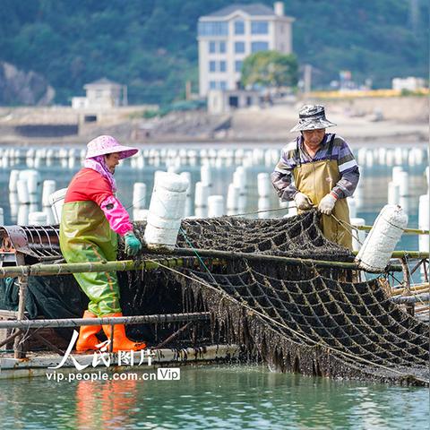 浙江农场基地出租转让最新资讯