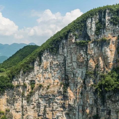 重庆住建领域
