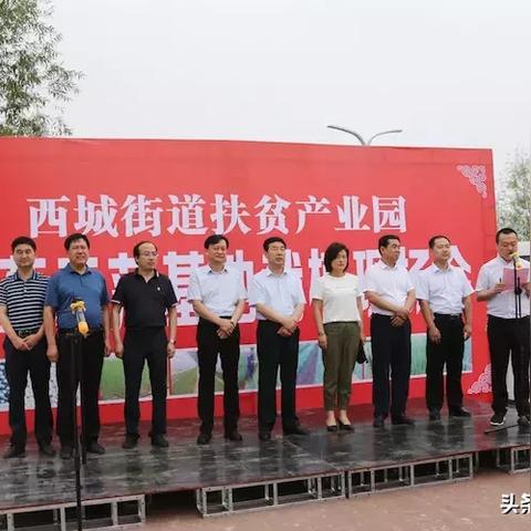 渭南大荔西城最新资讯简报