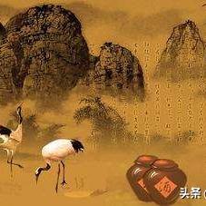 新年女生励志简短语录，勇往直前，追梦不止
