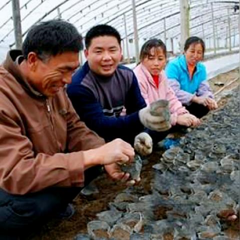 返乡人员支持政策最新解读，全面解析政策福利