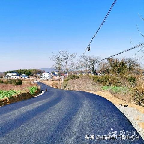今日春桥新闻热点，最新消息视频报道速递