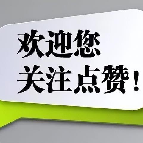 大连驾校排名前十深度解析及最新榜单