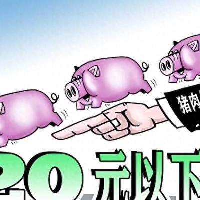 牛肉行情与猪价走势分析