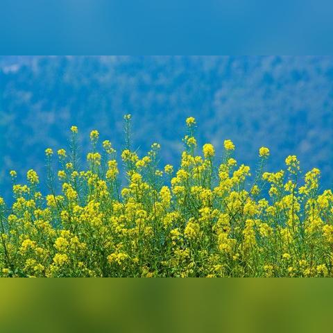哲理幽默励志语录，轻松一笑中的深刻启示