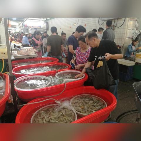 开海捕鱼盛况揭秘，最新消息与数据解析