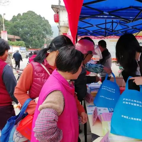 前锋产品手册下载与安装指南，最新版详细教程介绍