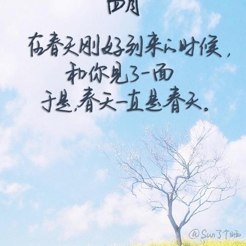 智慧励志语录，激励你前行的简短力量