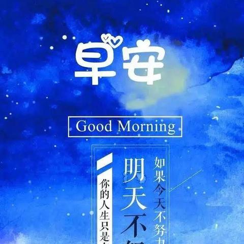 励志语录更新，数据与奋斗的力量之路