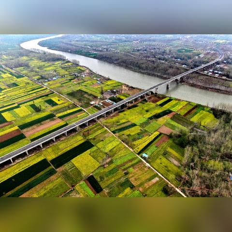 信阳田野新闻速递，现代化农业蓬勃发展新篇章