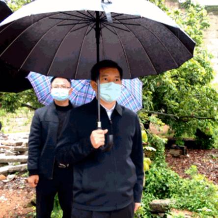 澄海后溪村新闻聚焦，乡村振兴新里程碑