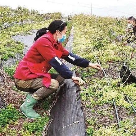 通川疫情最新更新，今日关键信息一览