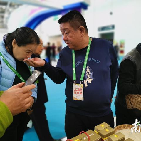 五华县大昌镇新闻聚焦，乡村振兴新里程碑
