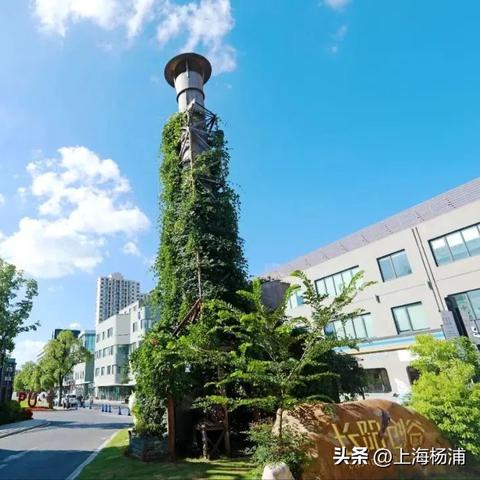 长阳区域发展迎新篇章，最新新闻头条抢先看