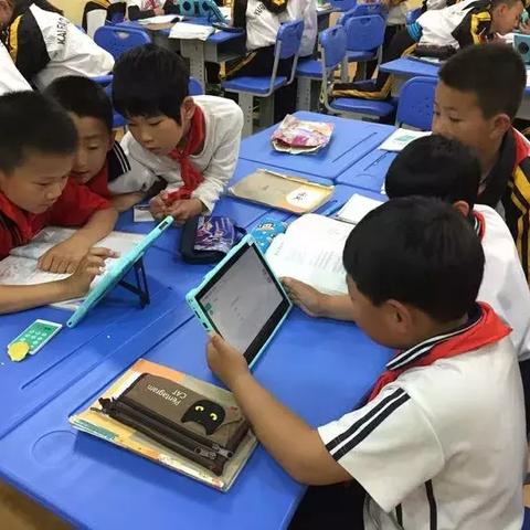 滨州小学排名前十名详解，知名学校一览