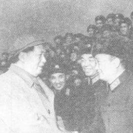庆阳夜新闻速递