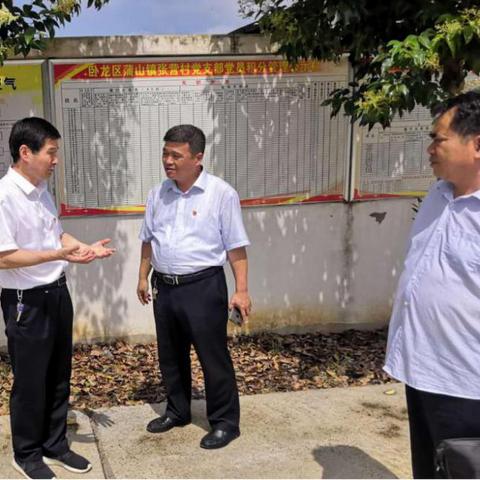 卧龙镇今日最新资讯速递