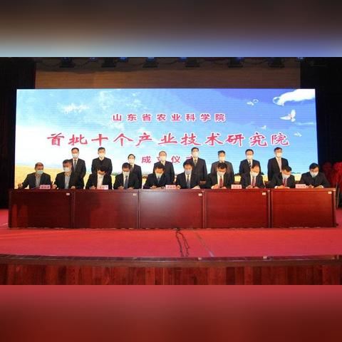 重庆博赋揭秘，热门玫瑰品种TOP10排行