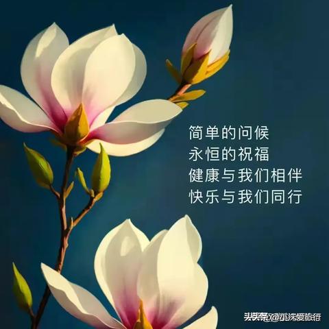 科技公司励志语录，砥砺前行启未来，创新驱动展宏图