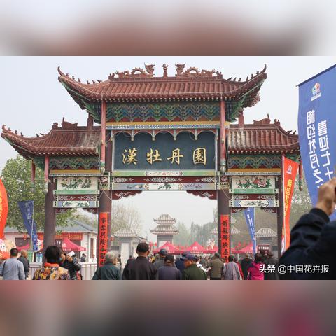 龙华送油收费标准表全解析