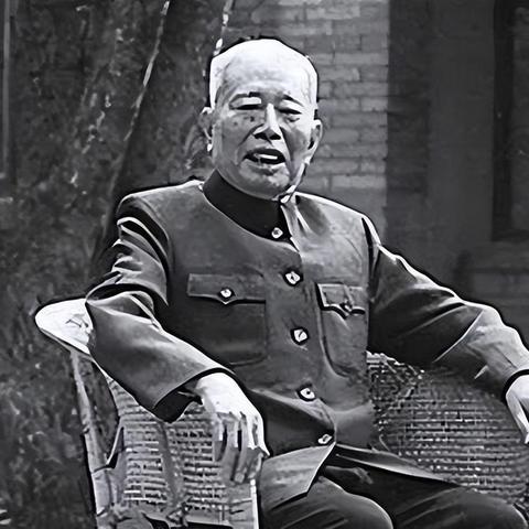 根据您的需求，以下是符合要求的标题，，云南蝗虫最新动态今日播报
