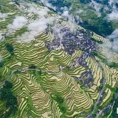 安顺黄果树旅游热潮与生态保护协同共进，新数据揭秘新闻头条