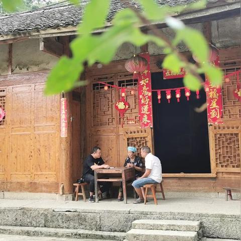 解析报告