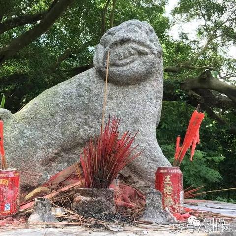 今日头条东山岛旅游热潮持续升温，数据揭示增长趋势惊艳！