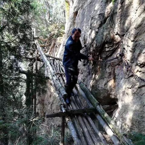 渭南经济发展迎新突破，繁荣景象数据揭秘