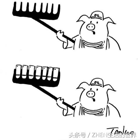今日八戒动态播报，最新消息直播来袭