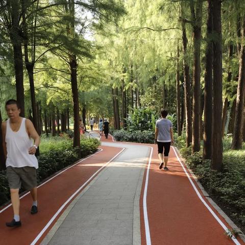 阿姨励志跑步语录，跑出人生新高度