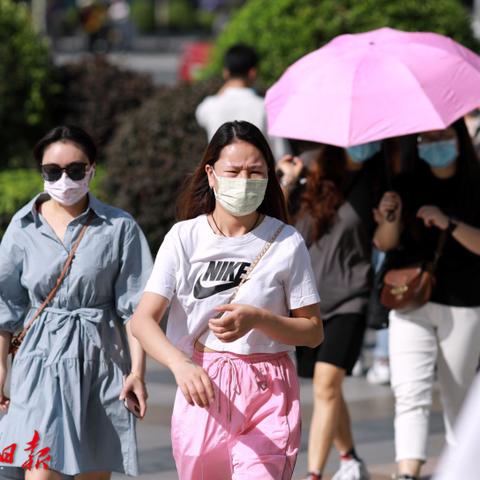 广东梅州暴雨实时更新，影响分析与最新消息