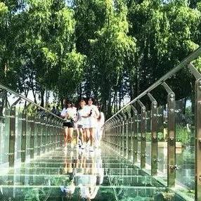 滕州市红河镇乡村振兴新篇章报道速递